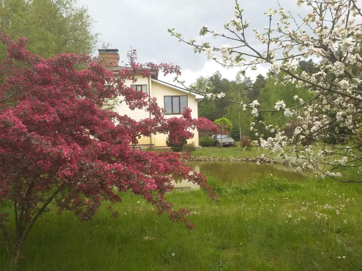 Guest House Pechersky & Sons Dreilini  Luaran gambar
