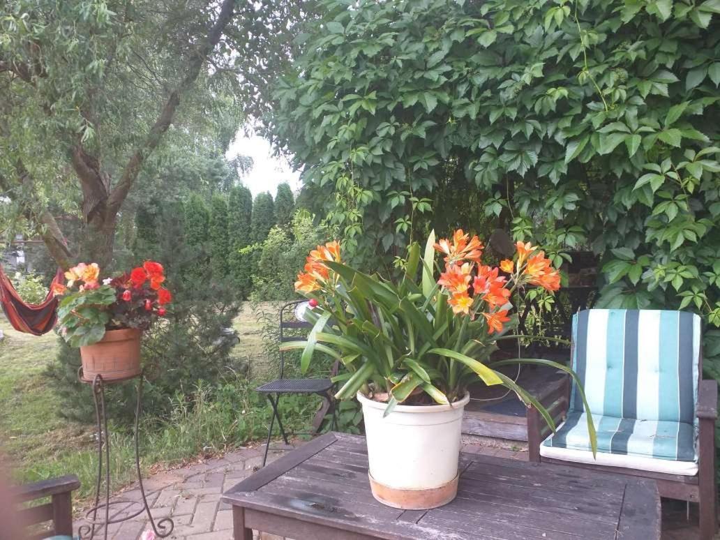 Guest House Pechersky & Sons Dreilini  Luaran gambar